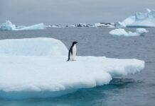 6 Wild Climate Fixes Scientists Are Actually Considering