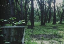 Hideo Kojima’s ‘P.T.’ Demo is Helping Japanese Kids Learn English