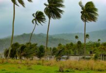 Watch These Live Webcam Views of Jamaica as Hurricane Melissa Makes Landfall