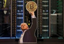 Trump Is the Shitcoin President