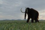 Rediscovered Fossil Redraws the Map of Woolly Mammoth Territory