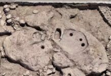 Archaeologists Discover an Ancient Wine Press Older Than the Pyramids