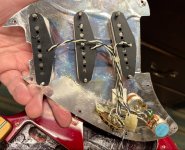 IMG_8457.jpeg IMG_8457.jpeg