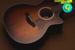 Taylor Next Generation 324ce review: “this could easily be your forever acoustic”