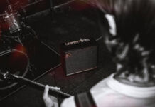 I used an animal, a fruit and a poem to make guitar tones using Positive Grid’s REACTOR… but which one sounded the best?