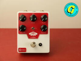 Moth-Electric-P-Isabella-Fuzz-hero-credit-Richard-Purvis402000x1500